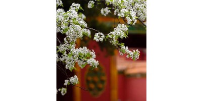 【展會資訊】臺群精機(jī)5月展會一覽，等您來參觀！